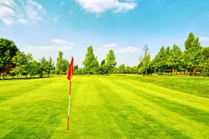Golf course and blue sky Golf course and blue sky